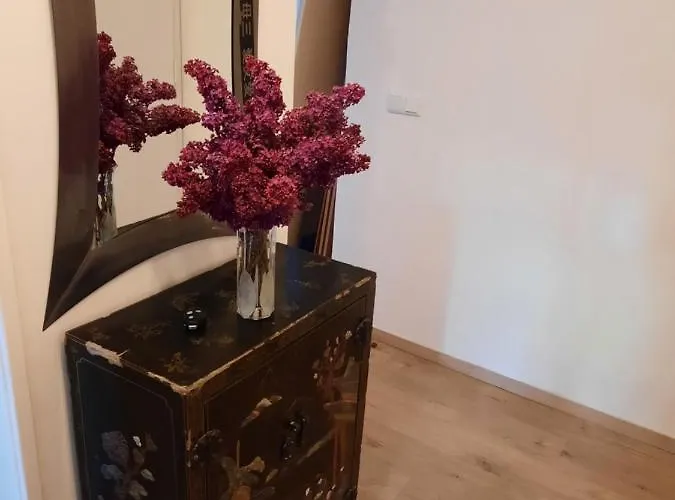 Schoene Wohnung In Der Grazer Innenstadt